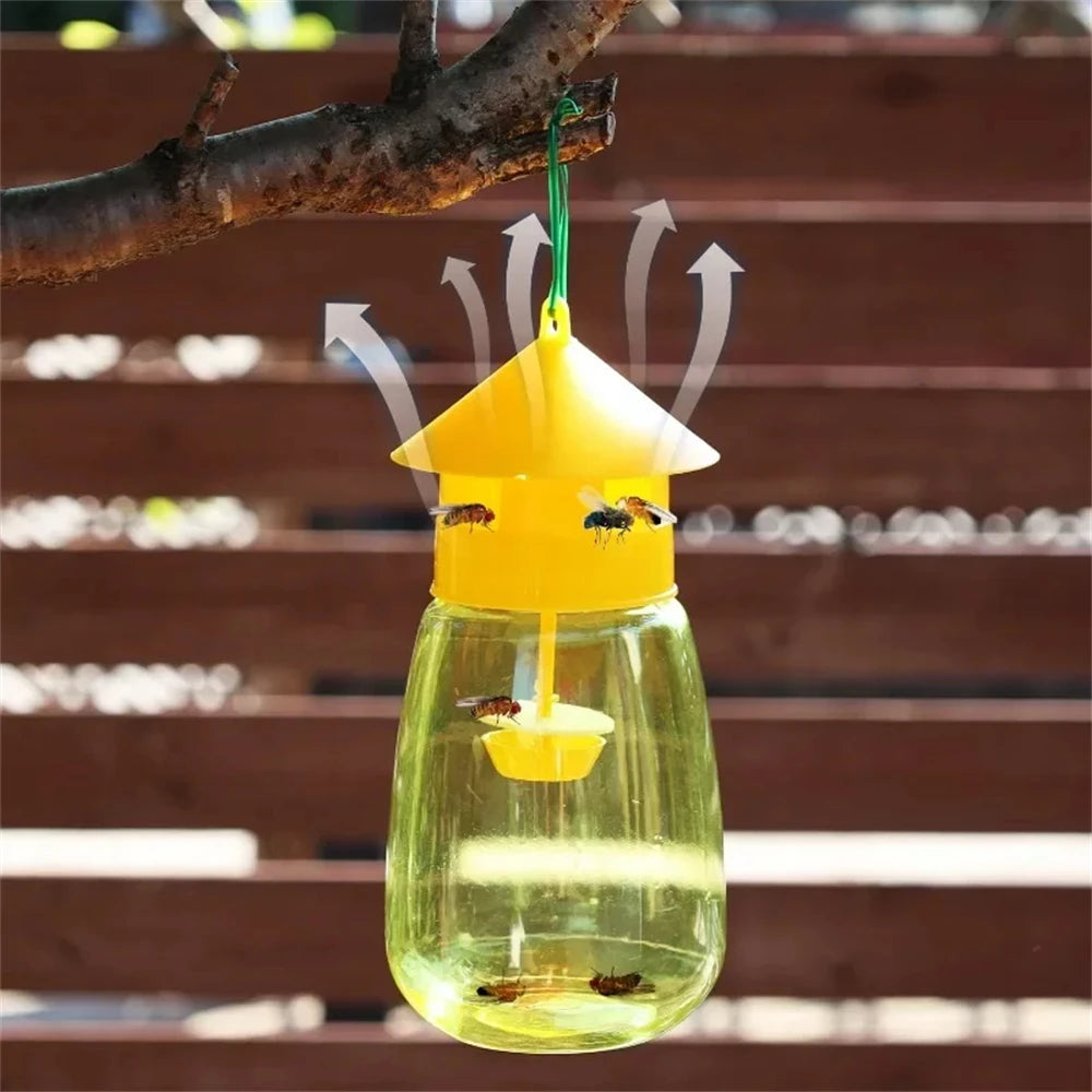 Fruit Fly Trap