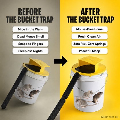 SnapShield™ Bucket Mouse Trap